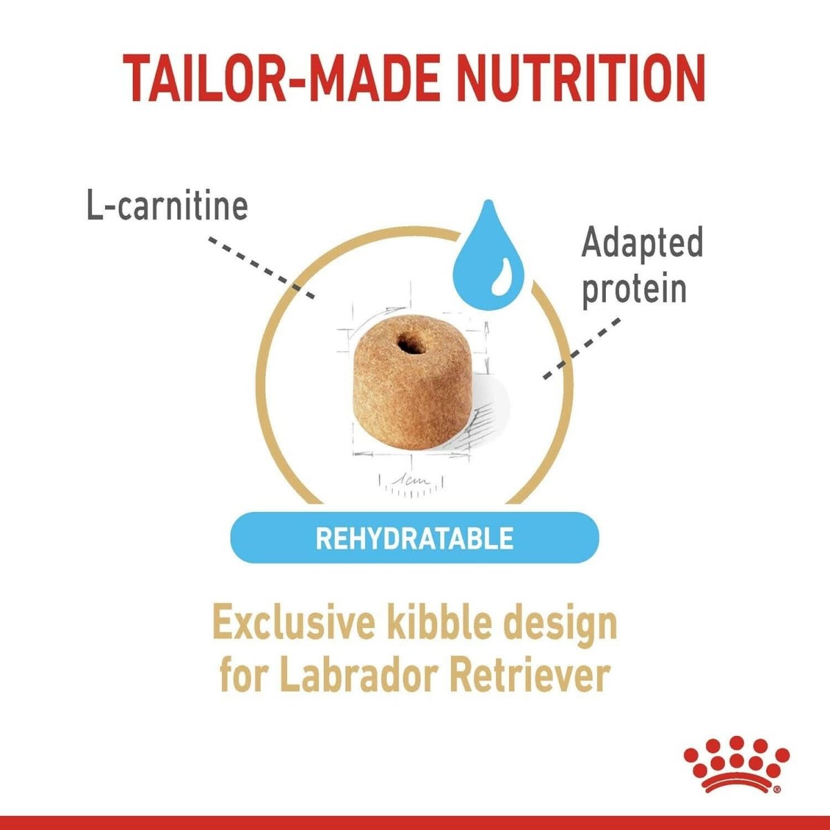 Royal Canin Labrador Retriever 5+ Adult Dog Food - dspetstore.com