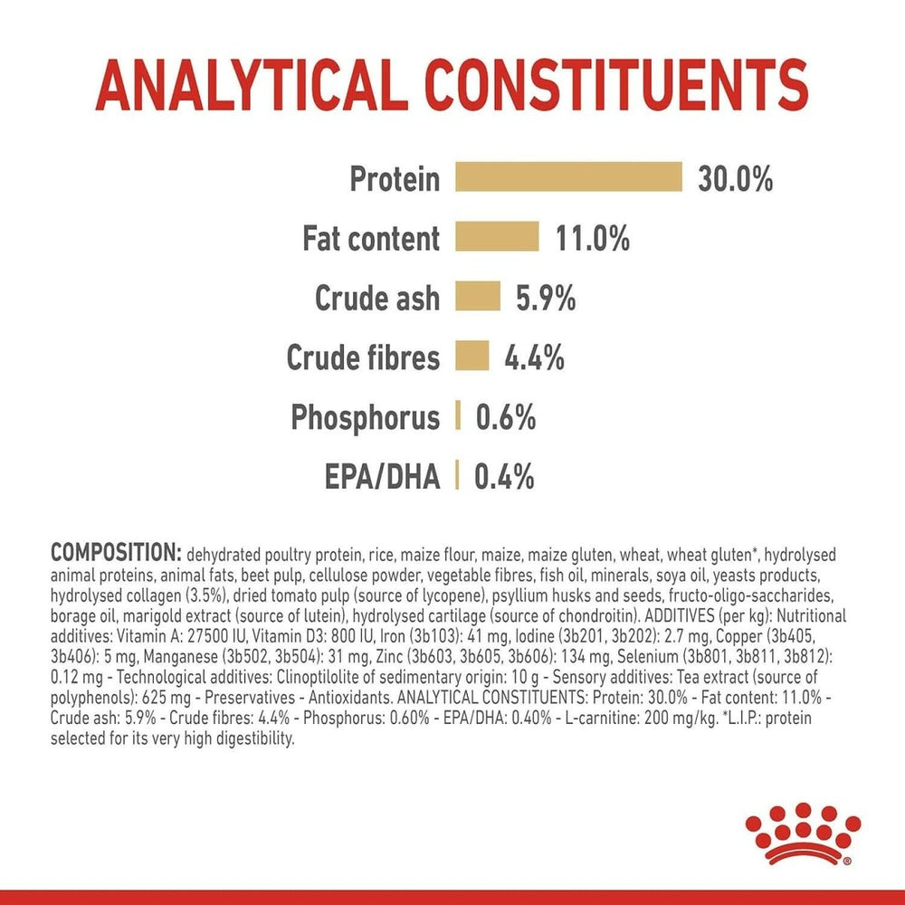 Royal Canin Labrador Retriever 5+ Adult Dog Food - dspetstore.com