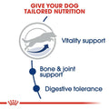 Royal Canin Maxi Adult 5+ Dog Food - dspetstore.com