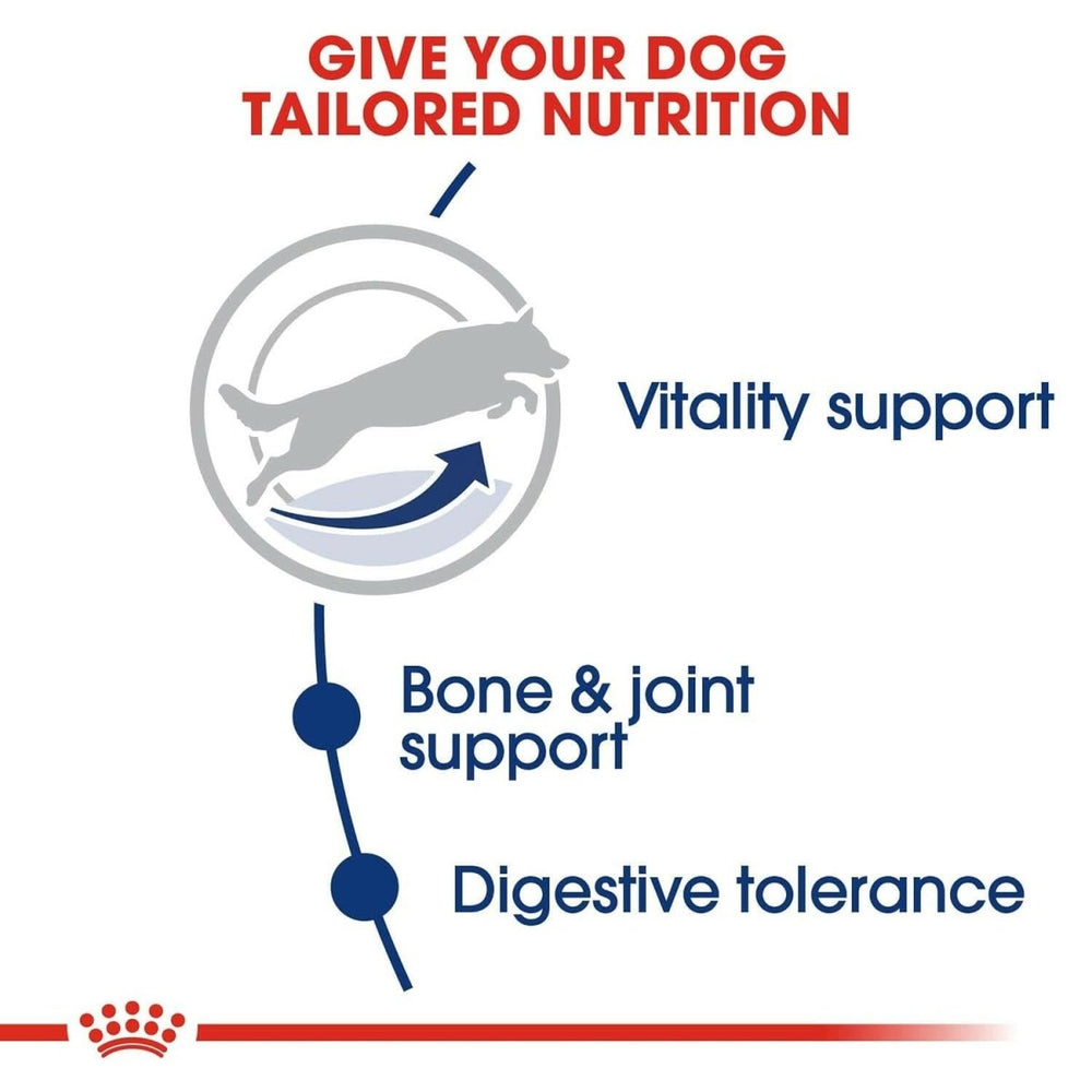 Royal Canin Maxi Adult 5+ Dog Food - dspetstore.com