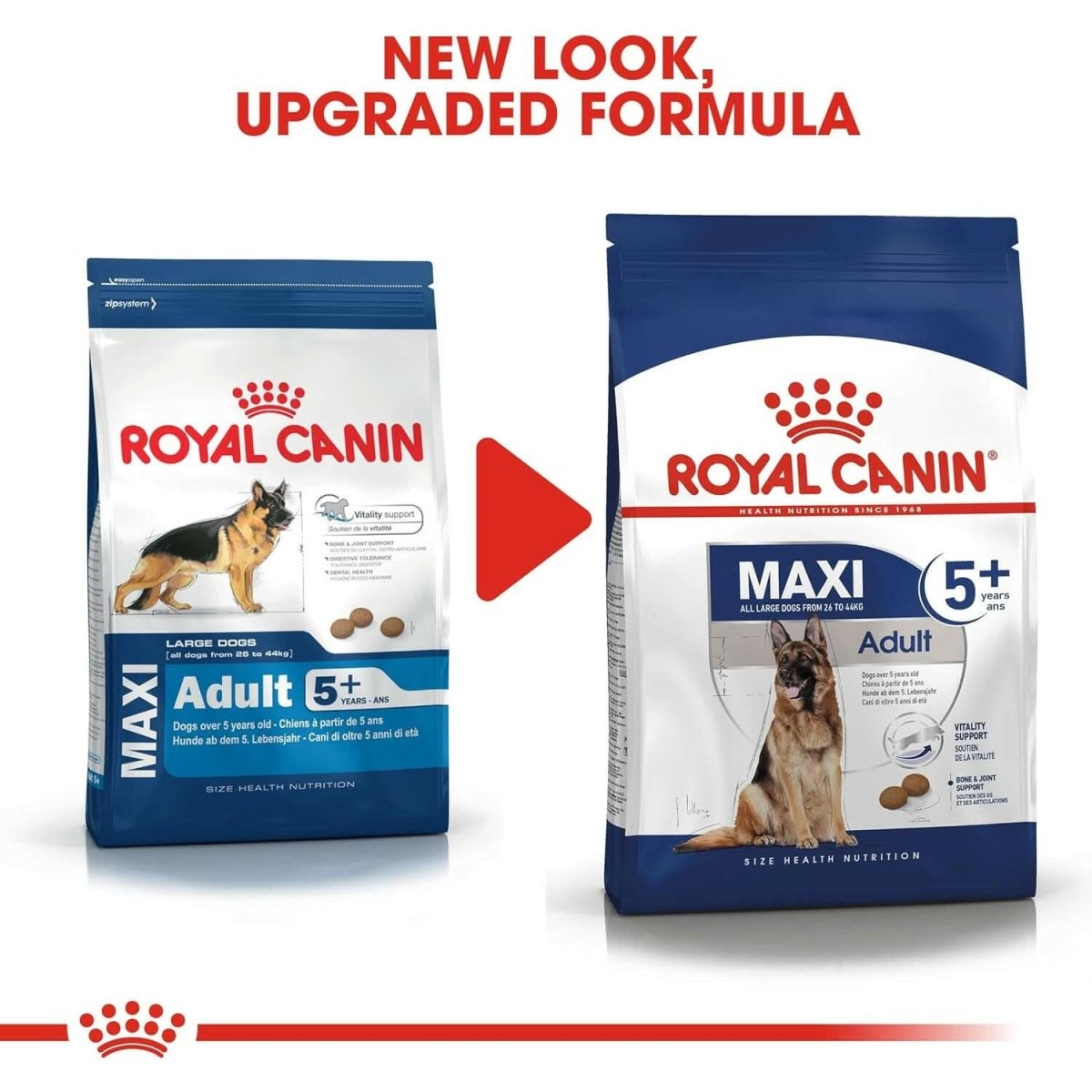 Royal Canin Maxi Adult 5+ Dog Food - dspetstore.com