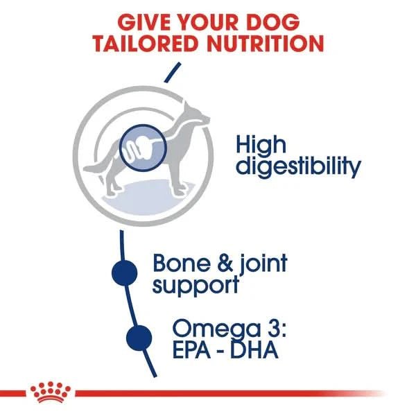 Royal Canin Maxi Adult Dry Dog Food - dspetstore.com