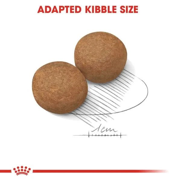 Royal Canin Maxi Adult Dry Dog Food - dspetstore.com