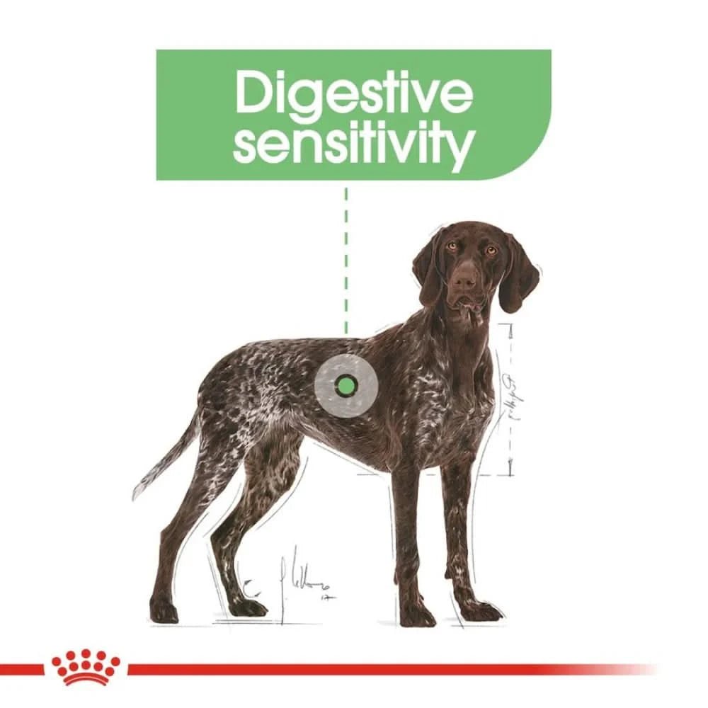 Royal Canin Maxi Digestive Care Dog Dry Food - dspetstore.com