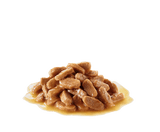 Royal Canin Maxi Puppy Wet Dog Food - dspetstore.com