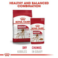 Royal Canin Medium Adult Wet Dog Food - dspetstore.com