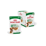 Royal Canin Mini Adult Wet Dog Food - dspetstore.com