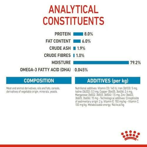 Royal Canin Mini Puppy Wet Dog Food - dspetstore.com