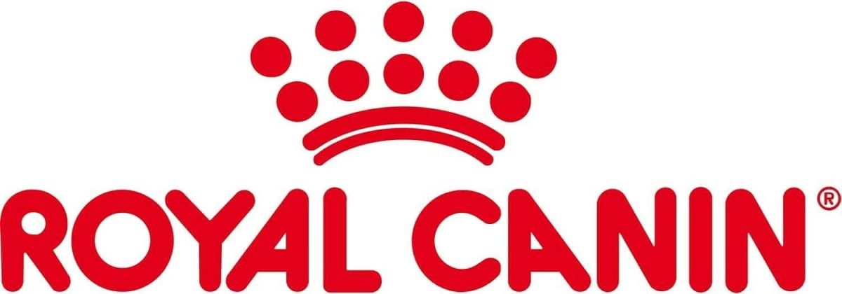 Royal Canin Mini Puppy Wet Dog Food - dspetstore.com