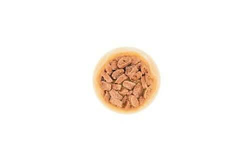 Royal Canin Mini Puppy Wet Dog Food - dspetstore.com