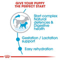 Advertisement for a pet product with text about supporting a puppy's health and development.