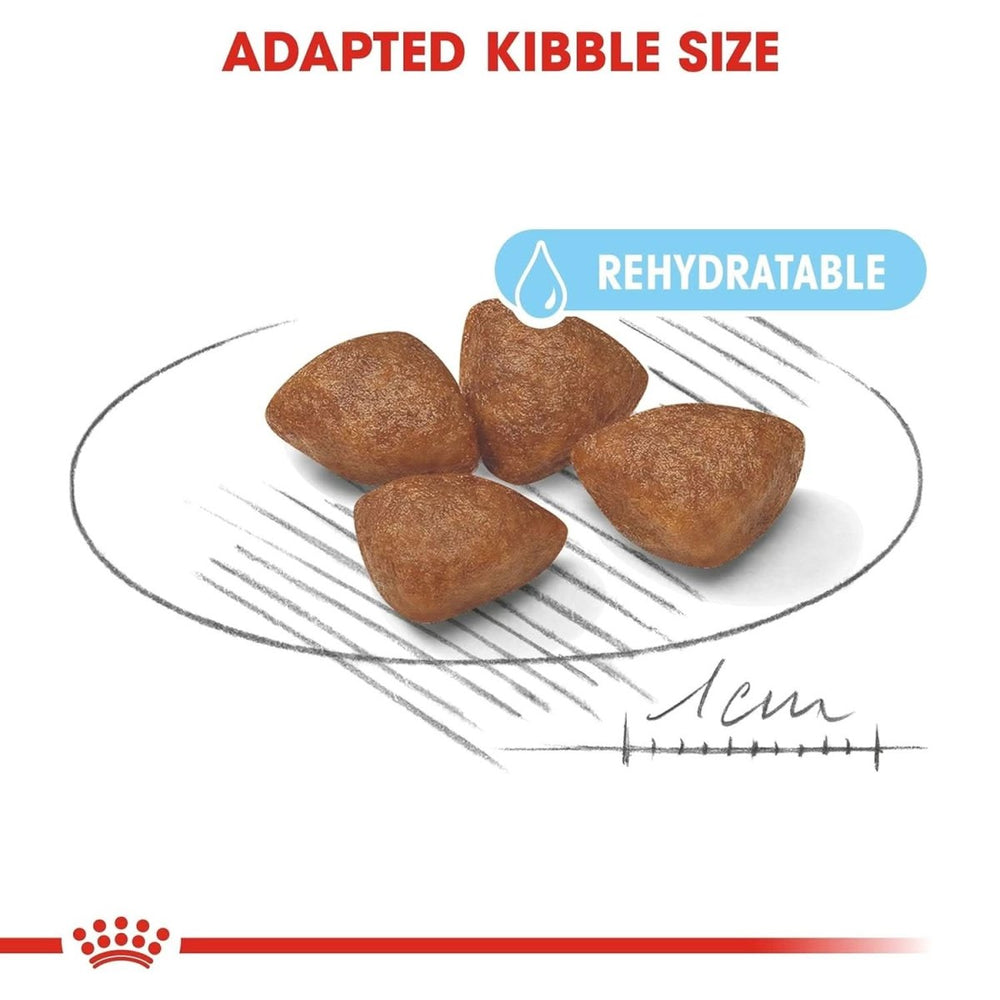 Adapted kibble size with rehydratable feature on a white background
