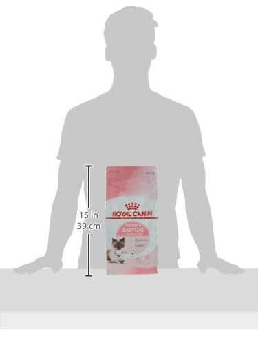 Royal Canin Mother & Baby Cat Food - dspetstore.com