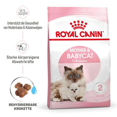 Royal Canin Mother & Baby Cat Food - dspetstore.com