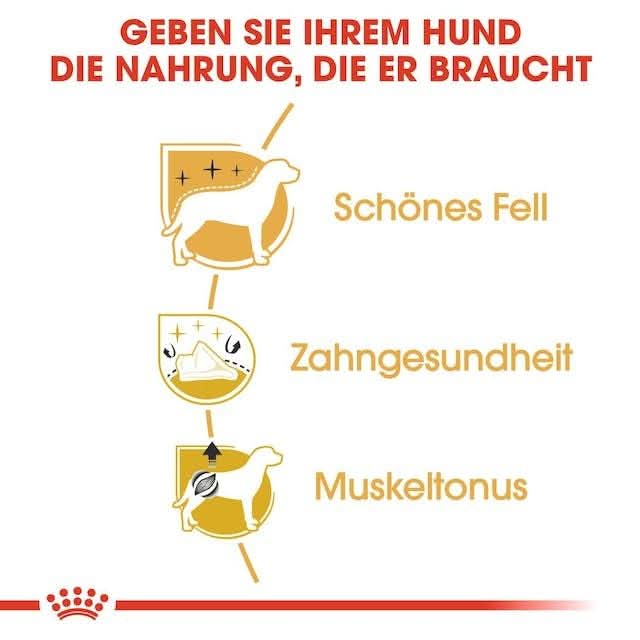 Dog food product advertisement with text and icons on a white background