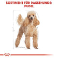Cardboard cutout of a poodle with text about dog food for breed-specific needs on a white background.