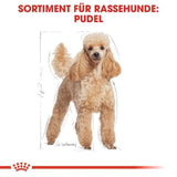 Cardboard cutout of a poodle with text about dog food for breed-specific needs on a white background.