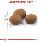 Royal Canin Sterlilised 7+ Cat Food - dspetstore.com