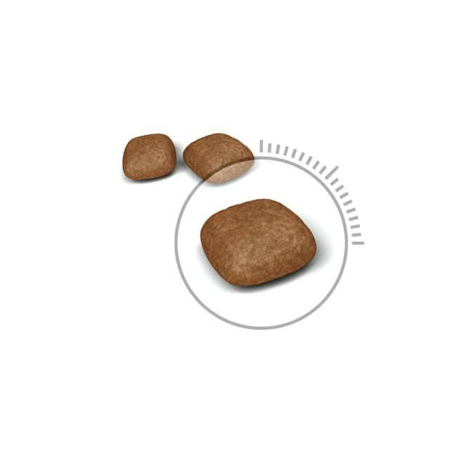 Royal Canin Urinary Dry Cat Food - dspetstore.com