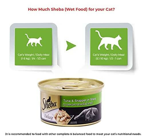 Sheba Wet Cat Food Tuna White Meat and Snapper in Gravy - dspetstore.com