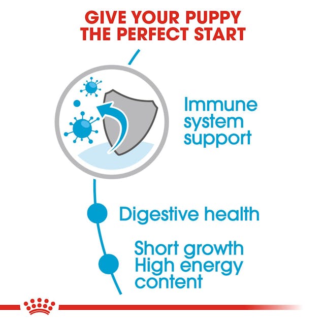 Royal Canin Medium Puppy Wet Dog Food.