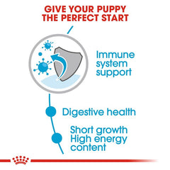 Royal Canin Medium Puppy Wet Dog Food.