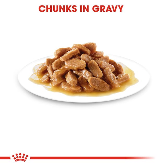 Royal Canin Medium Puppy Wet Dog Food.