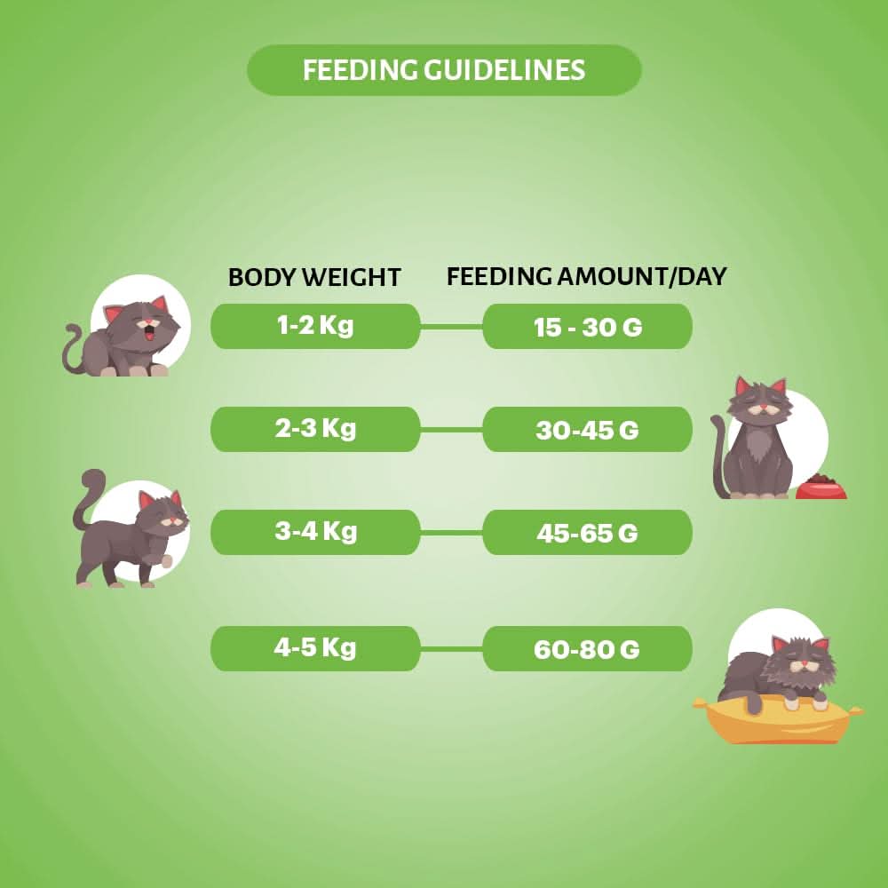 Feeding guidelines for cats with body weight categories and corresponding feeding amounts on a green background.