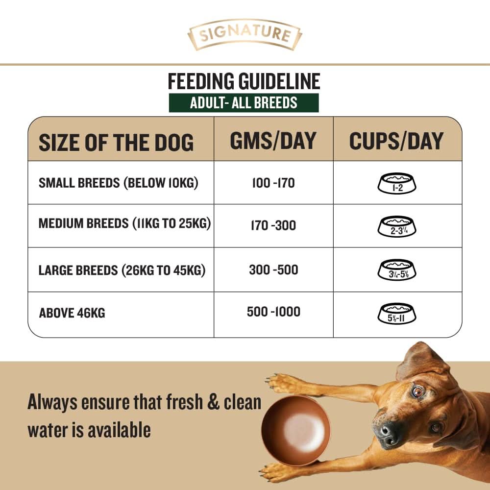 Signature Grain Zero Chicken Chunks Gravy Adult Dog Wet Food — 150 g - dspetstore.com