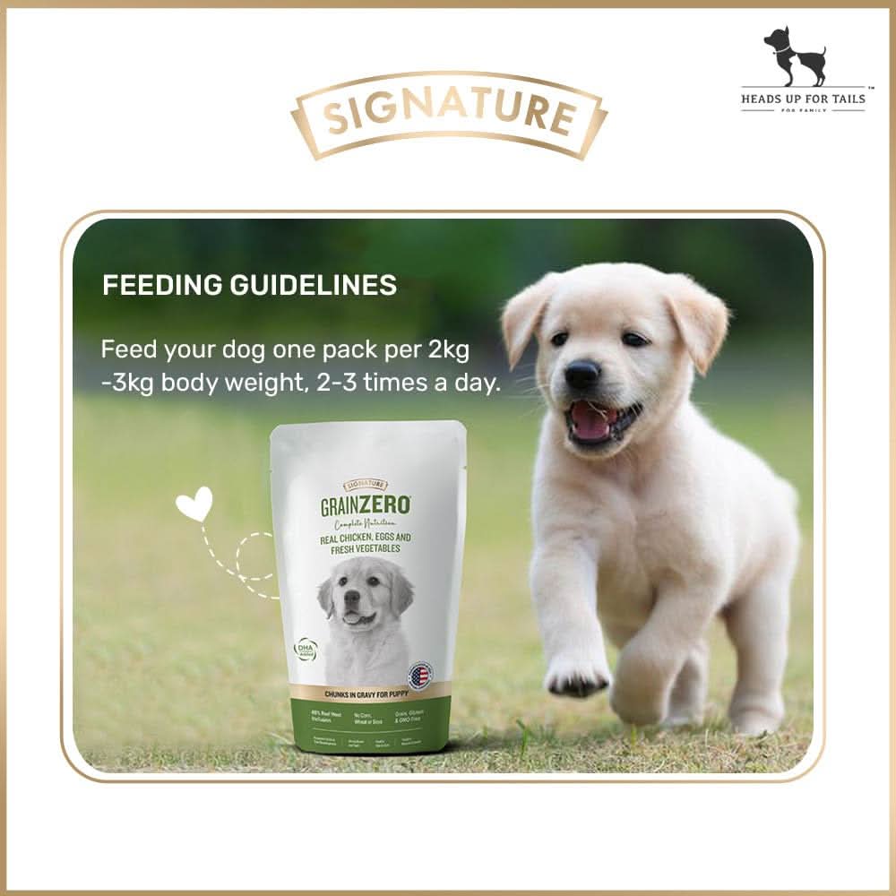 Signature Grain Zero Chicken Chunks Gravy Puppy Dog Wet Food — 150 g - dspetstore.com