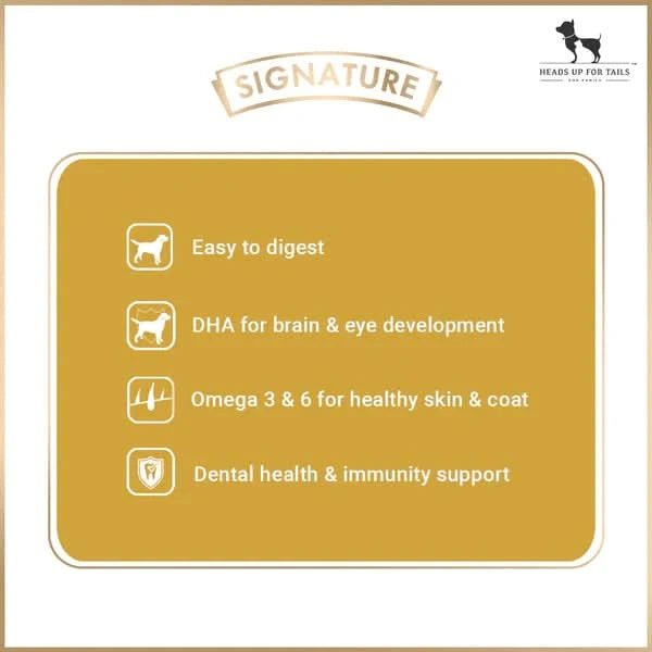 Signature Grain Zero Chicken, Egg & Vegetables Starter Dog Food – For Mother & Puppy - dspetstore.com