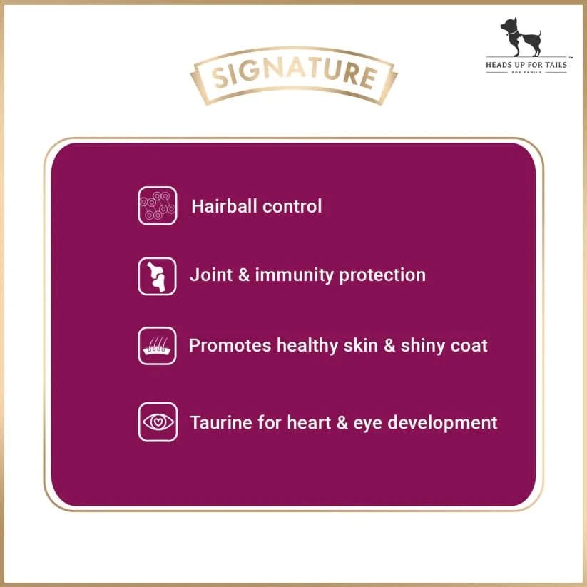 Signature Grain Zero Persian Adult Cat Food - dspetstore.com