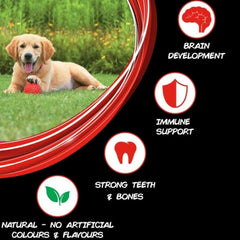 SuperCoat Chicken Puppy Dry Food - dspetstore.com