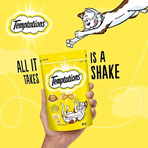 Temptations Cat Treats Salmon Flavor – Irresistible & Tasty - dspetstore.com