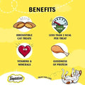 Temptations Cat Treats Salmon Flavor – Irresistible & Tasty - dspetstore.com