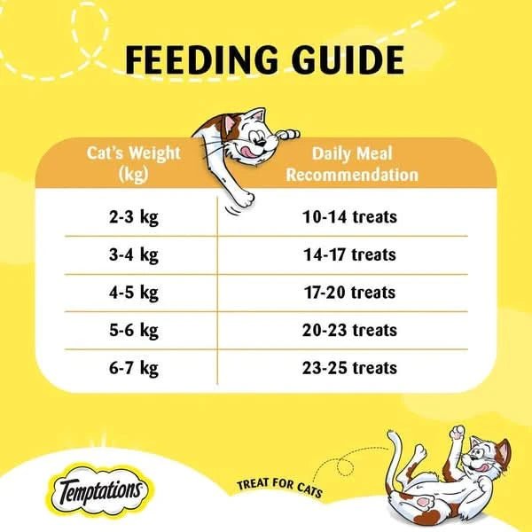 Temptations Cat Treats Salmon Flavor – Irresistible & Tasty - dspetstore.com