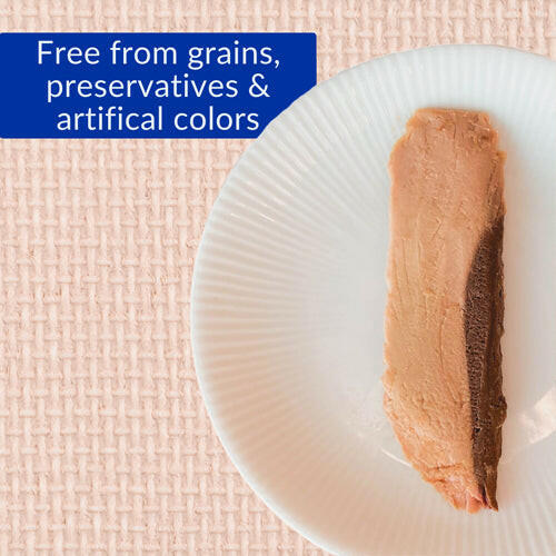 INABA Churu Tuna Fillet Tuna Broth Cat Treats USA501A, 15 g (Pack of 1).