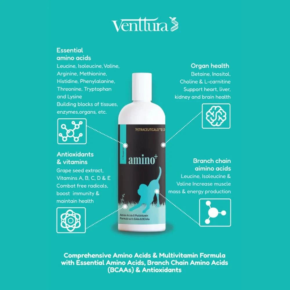 Venttura Amino Plus Syrup for Dogs – 200 ml - dspetstore.com