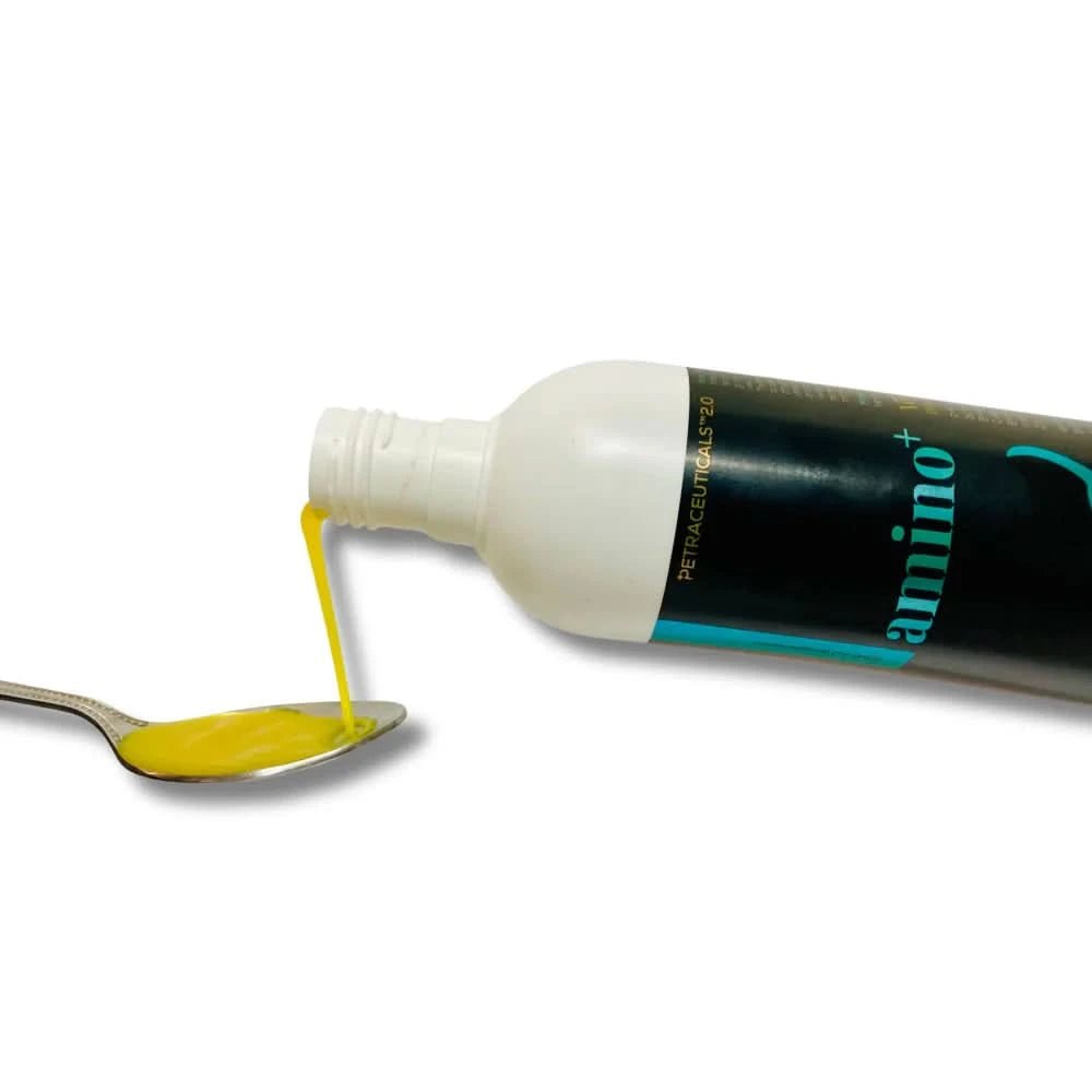 Venttura Amino Plus Syrup for Dogs – 200 ml - dspetstore.com