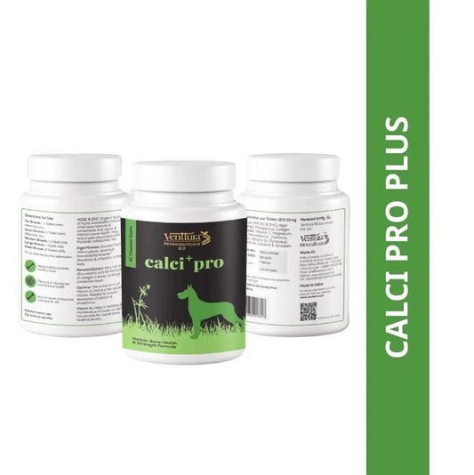 Venttura Calci Pro Plus Calcium Supplement for Dogs – 200 ml - dspetstore.com