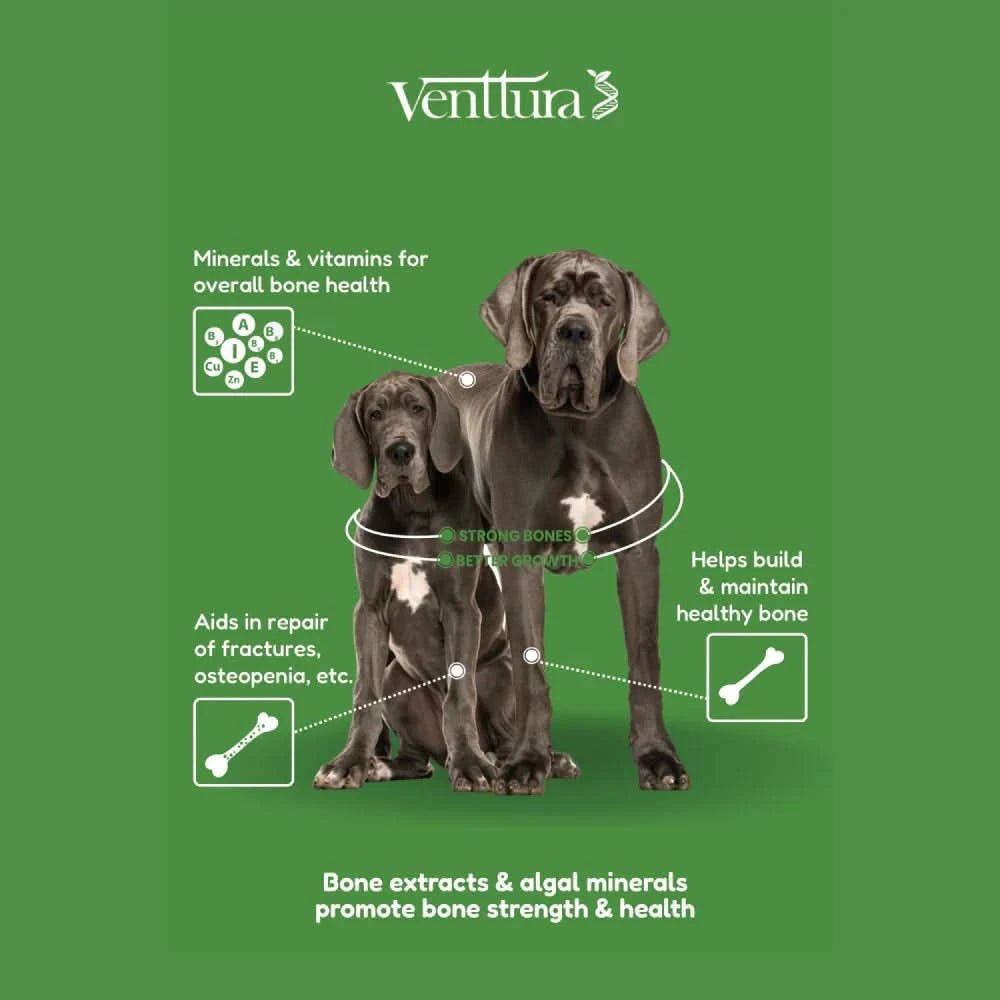 Venttura Calci Pro Plus Calcium Supplement for Dogs – 200 ml - dspetstore.com