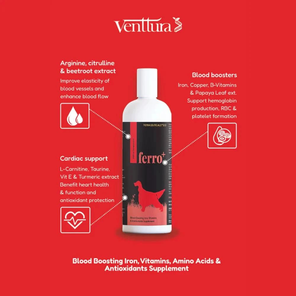 Venttura Ferro Plus Iron Supplement Syrup for Dogs – 200 ml - dspetstore.com