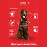 Venttura Ferro Plus Iron Supplement Syrup for Dogs – 200 ml - dspetstore.com