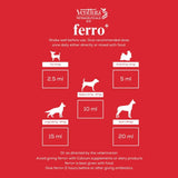 Venttura Ferro Plus Iron Supplement Syrup for Dogs – 200 ml - dspetstore.com