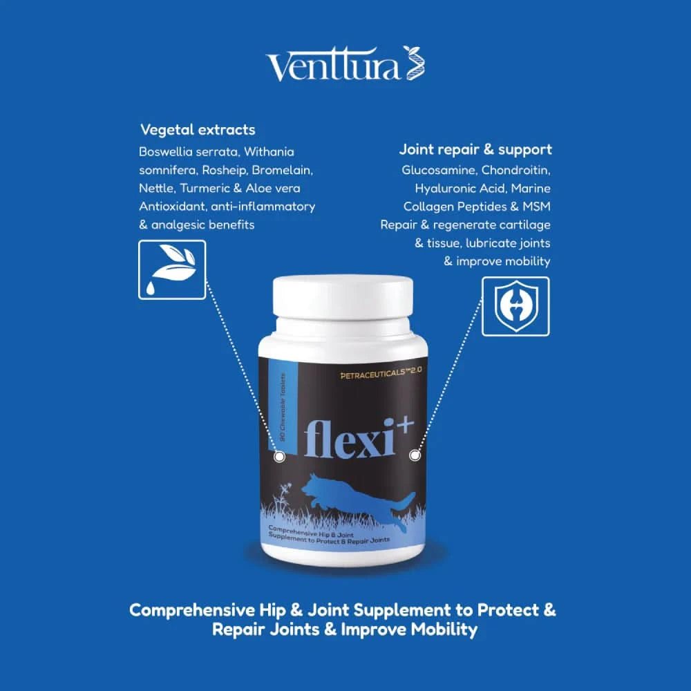 Venttura Flexi Plus Hip & Joint Chewable Supplement for Dogs – 60 Chews - dspetstore.com
