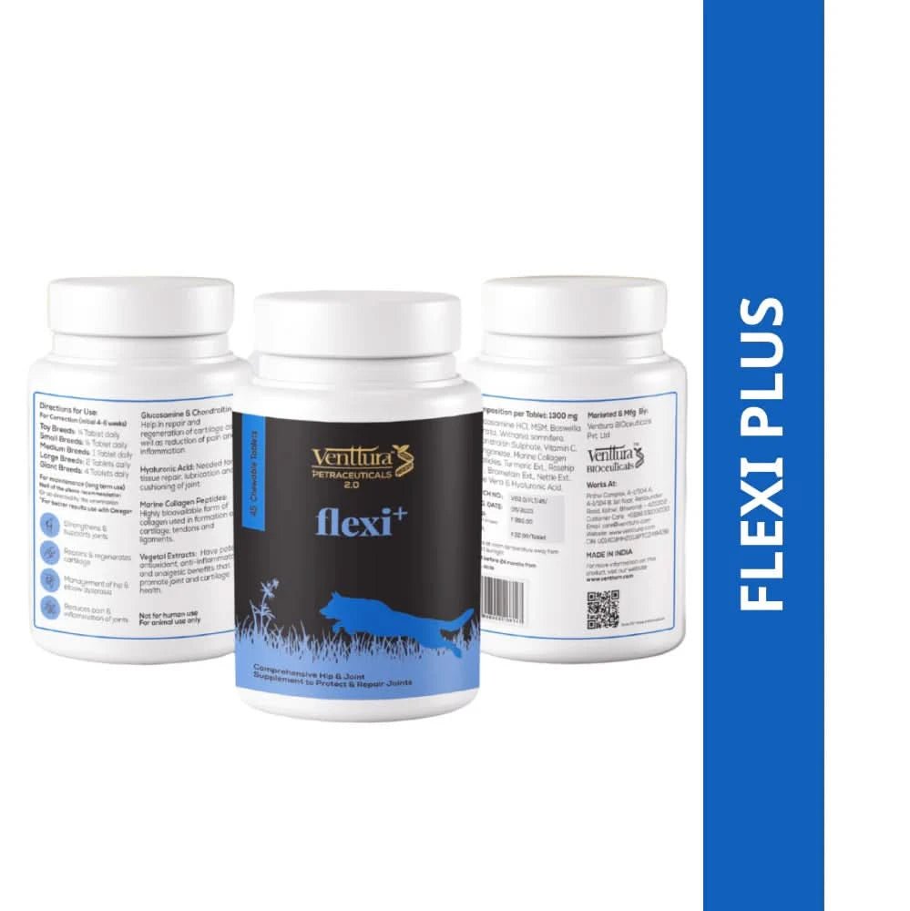 Venttura Flexi Plus Hip & Joint Chewable Supplement for Dogs – 60 Chews - dspetstore.com