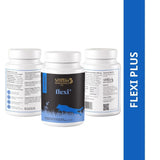 Venttura Flexi Plus Hip & Joint Chewable Supplement for Dogs – 60 Chews - dspetstore.com