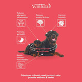 Venttura Immuno Plus Immunity Booster Spray for Dogs – 100ml - dspetstore.com