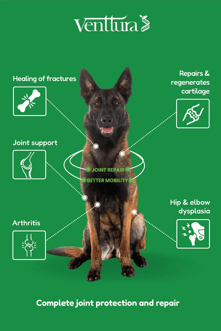 Venttura Inhancer for Dogs Hip & Joint Formula – 340g - dspetstore.com