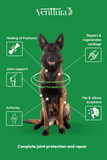 Venttura Inhancer for Dogs Hip & Joint Formula – 340g - dspetstore.com